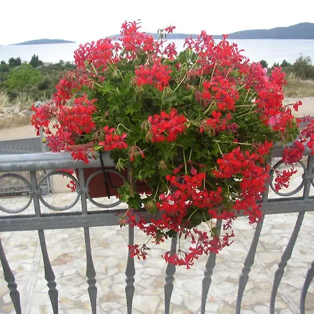 Pilic Apartman Šibenik