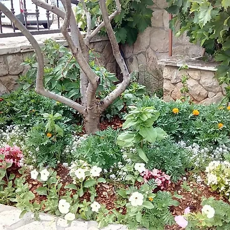 Apartment Pilic Sibenik