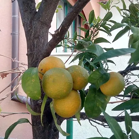 Pilic Apartman Sibenik