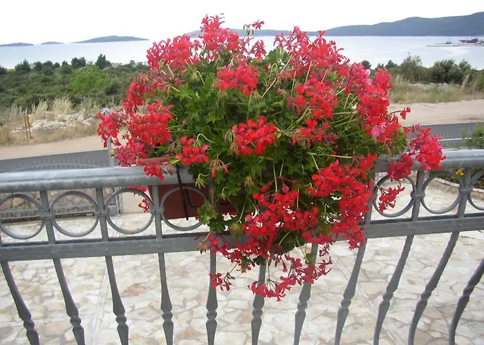 Pilic Apartman Šibenik